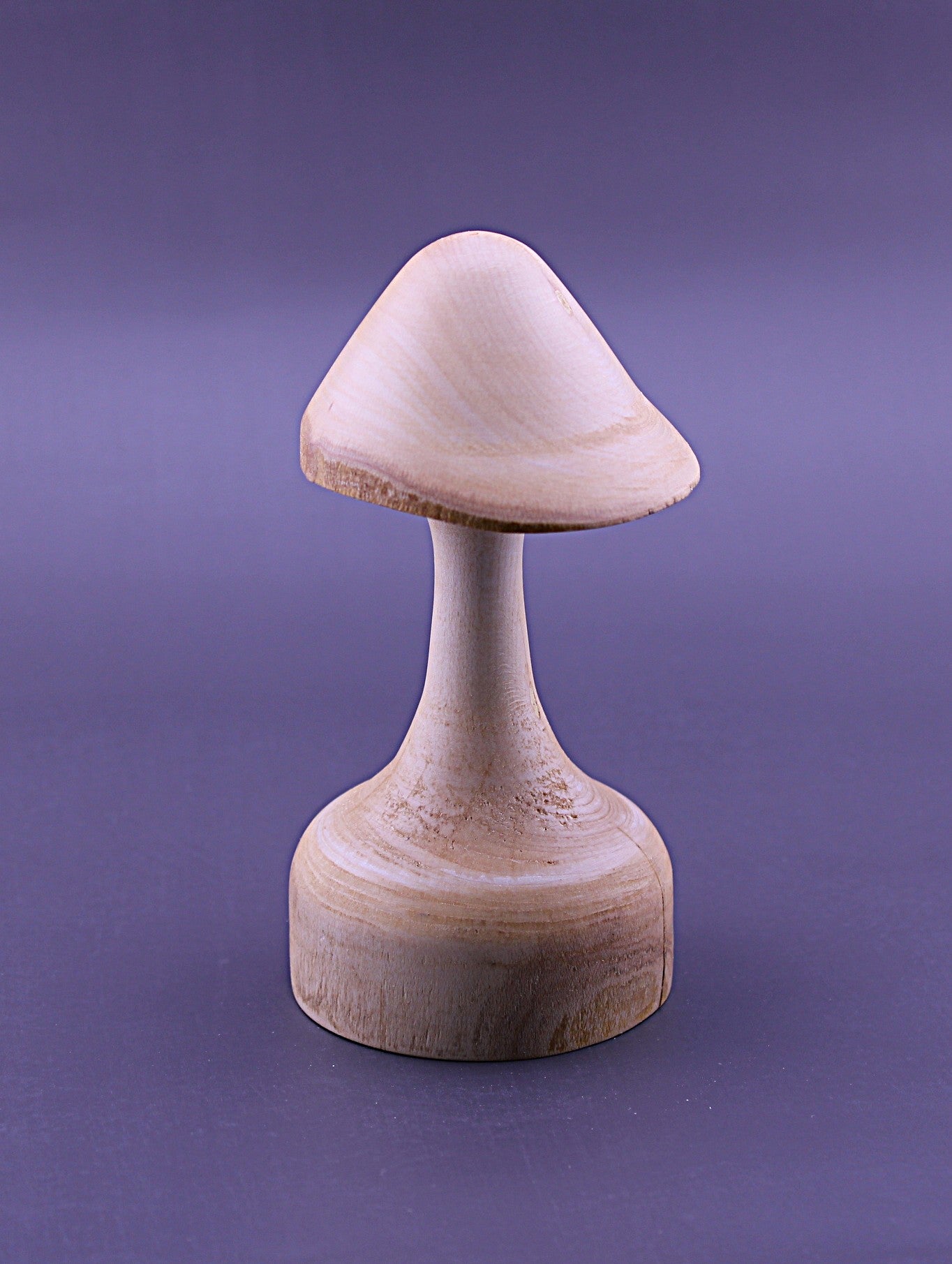 Decorative Whimsical Wood Mushroom