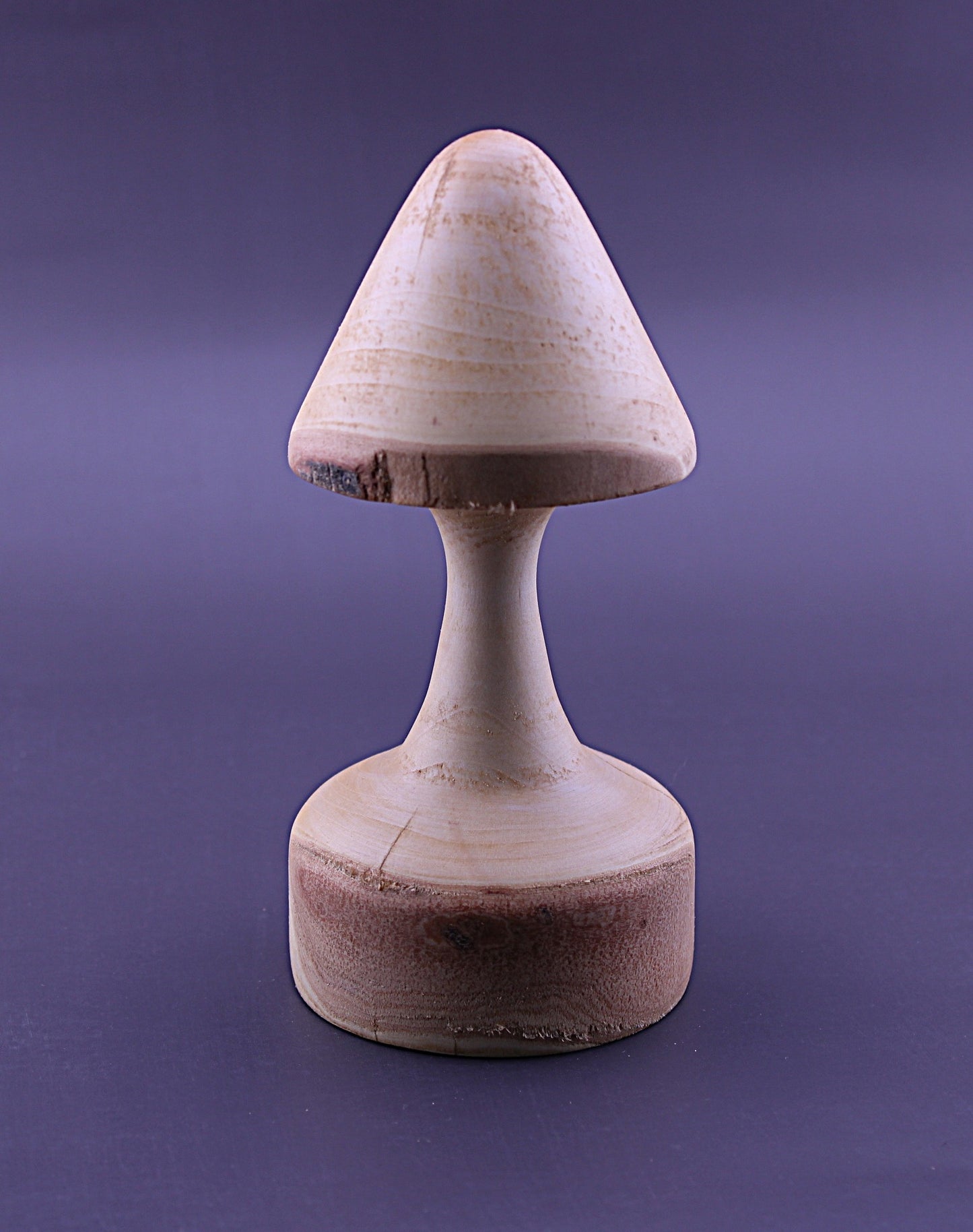 Decorative Whimsical Wood Mushroom