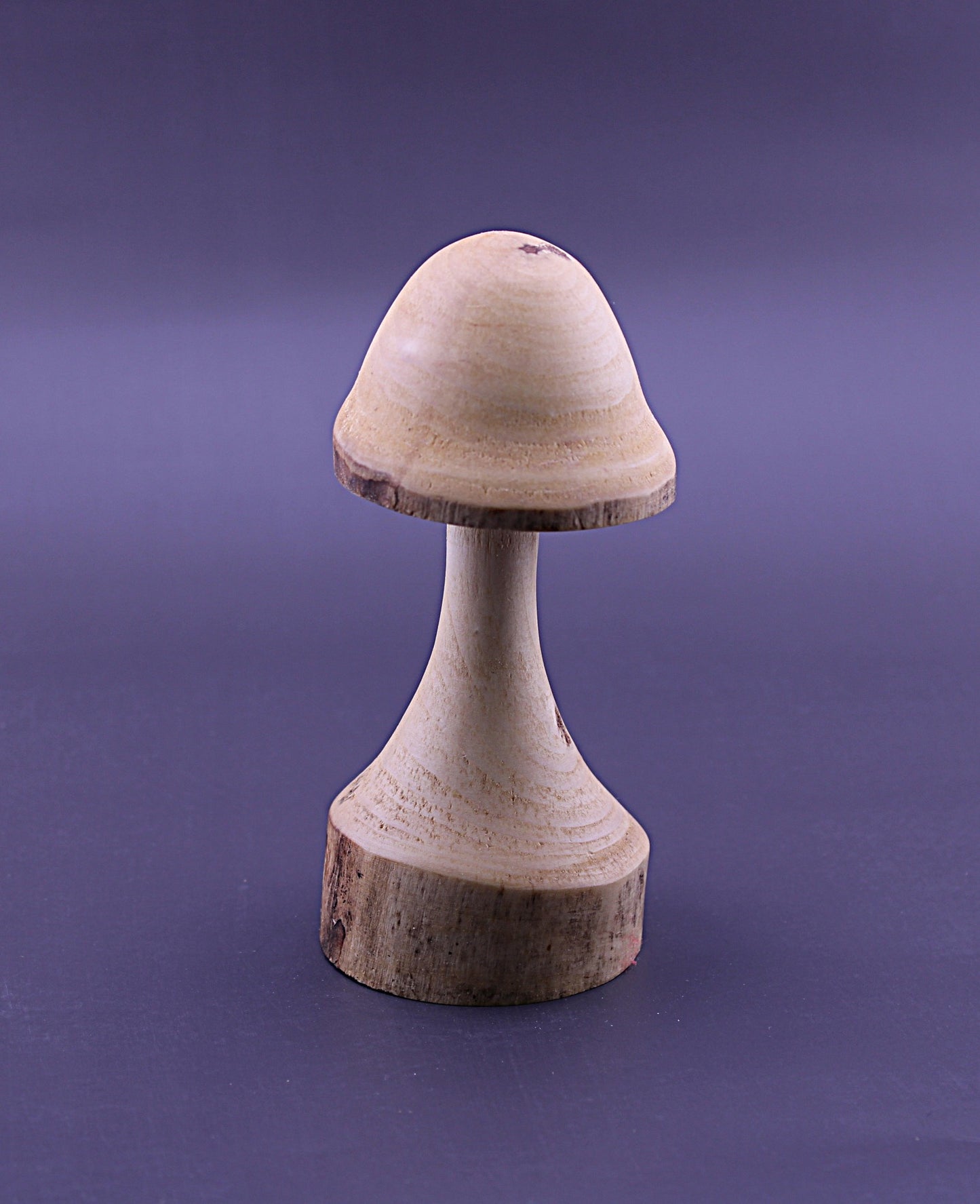 Decorative Whimsical Wood Mushroom