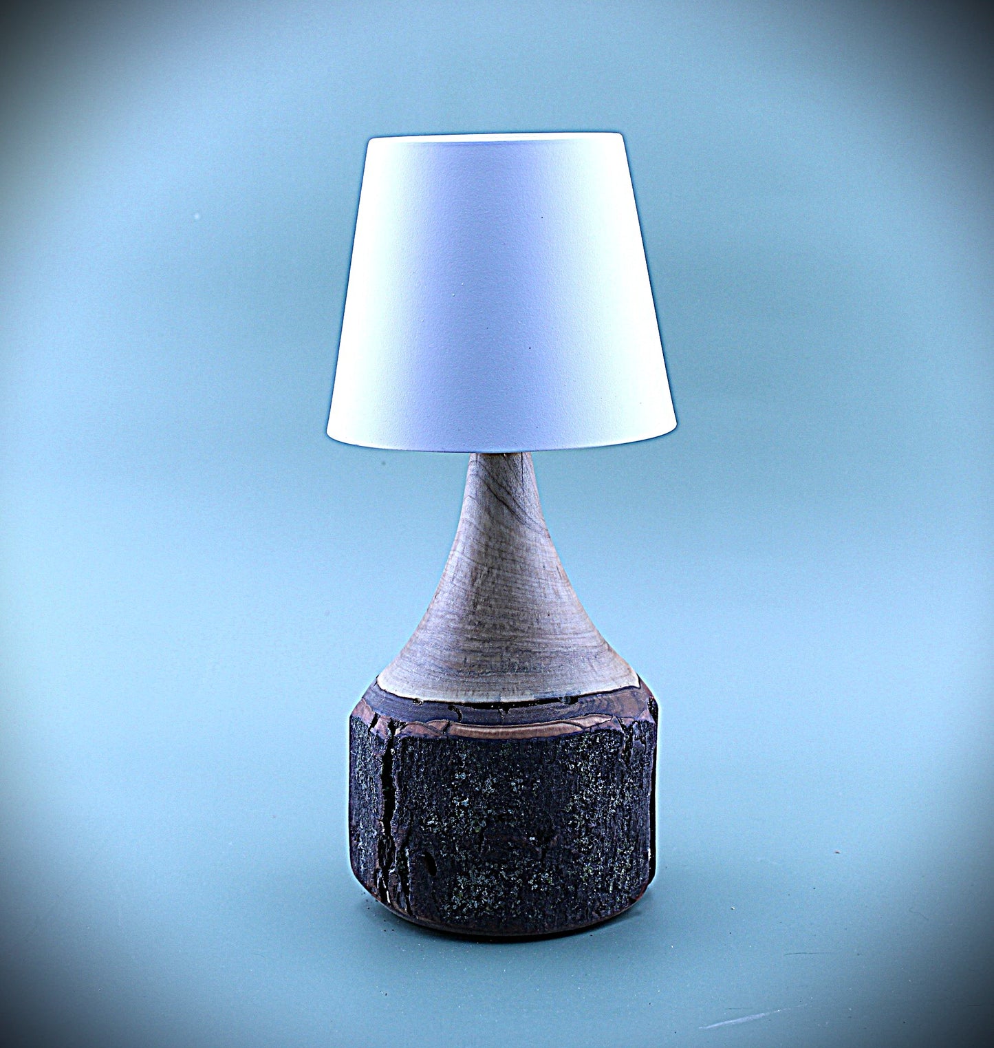 Handcrafted Wood LED Cordless Lamp