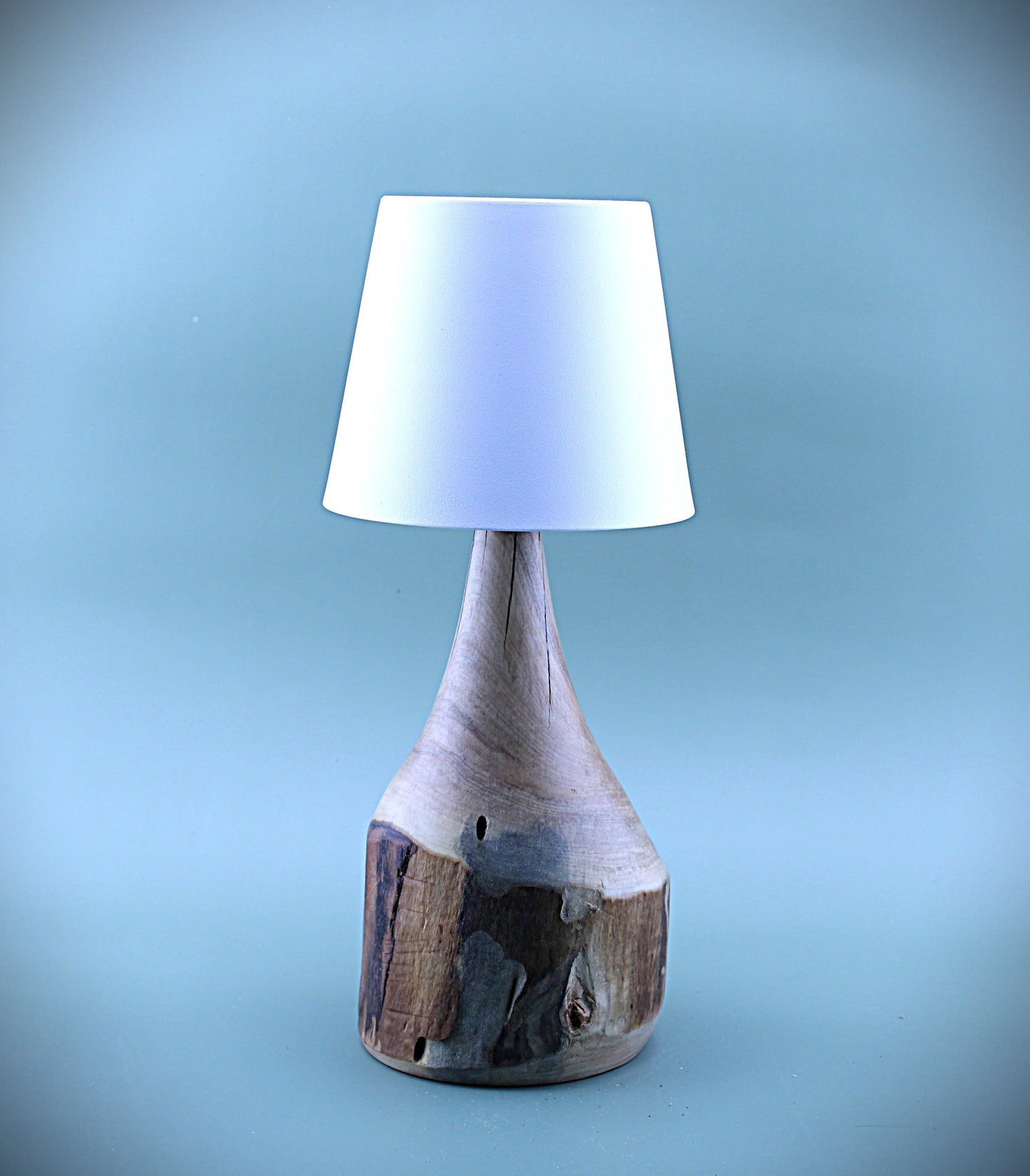 Handcrafted Wood LED Cordless Lamp