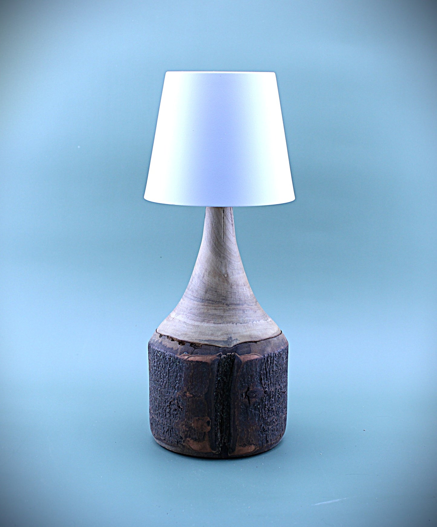 Handcrafted Wood LED Cordless Lamp