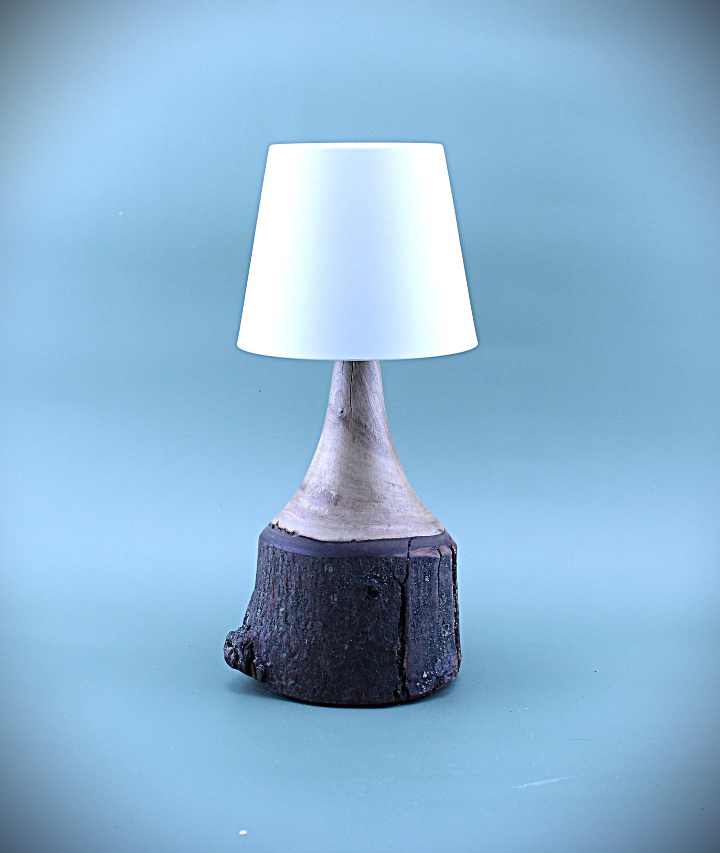 Handcrafted Wood LED Cordless Lamp