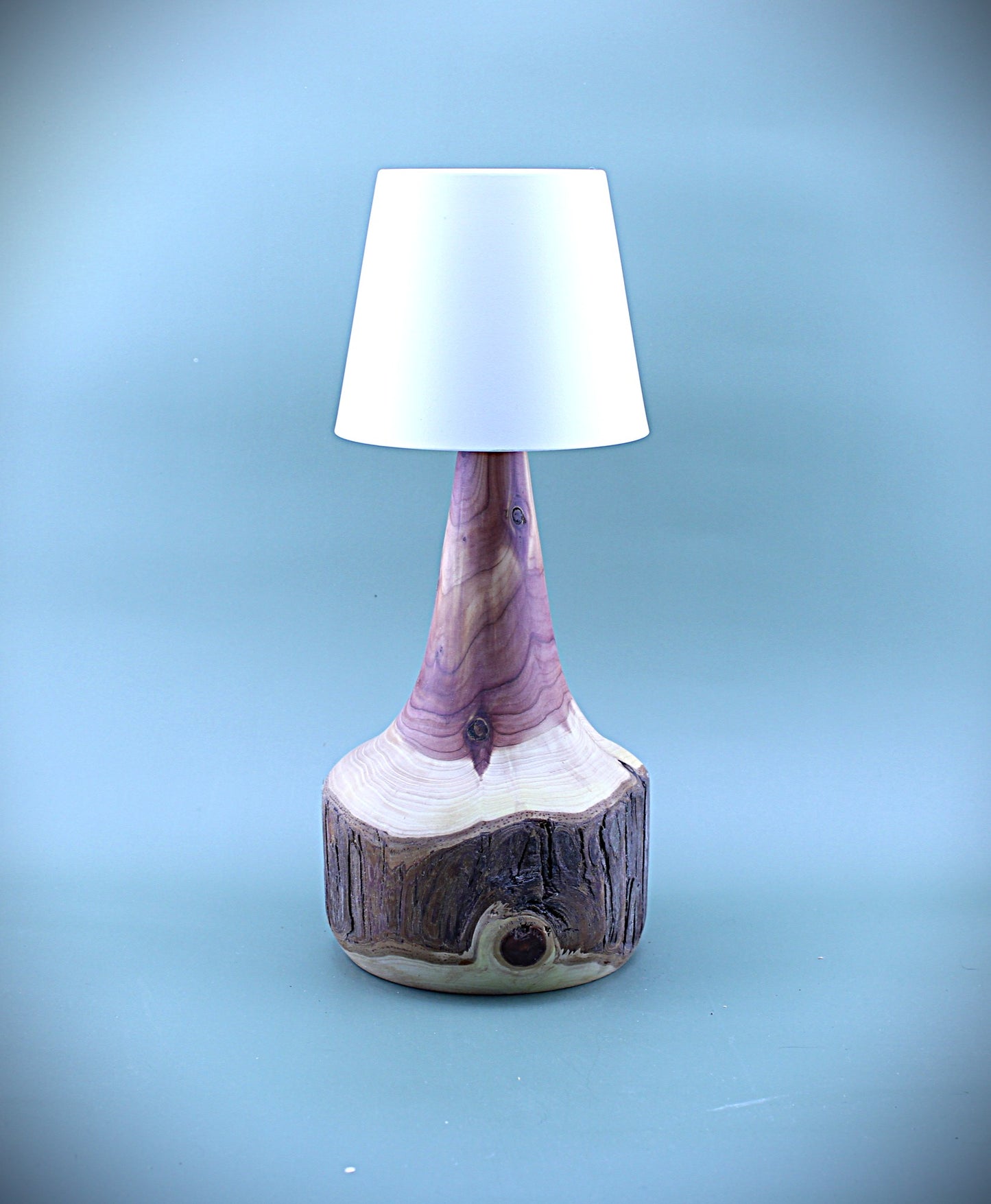 Handcrafted Wood LED Cordless Lamp