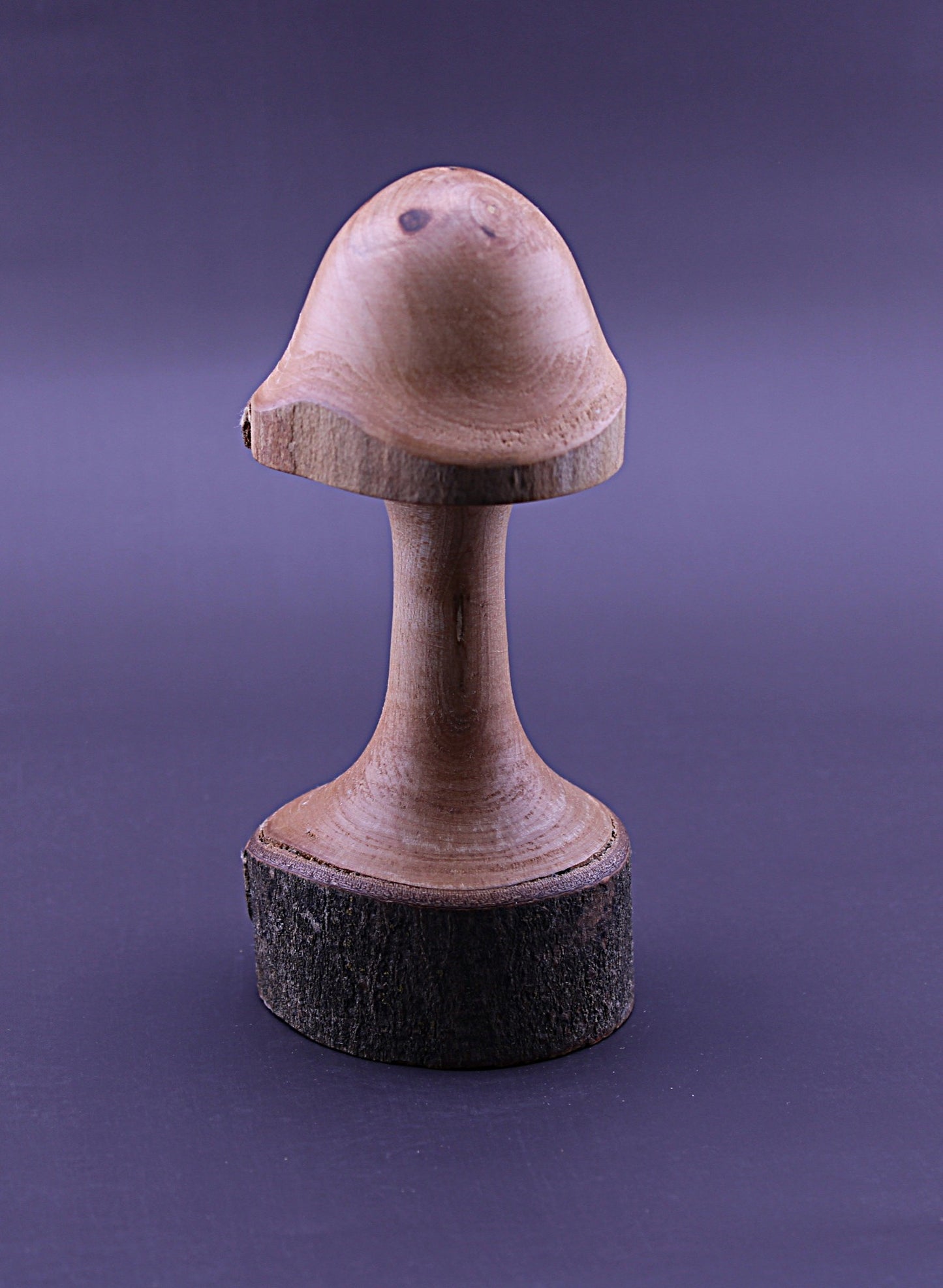 Decorative Whimsical Wood Mushroom
