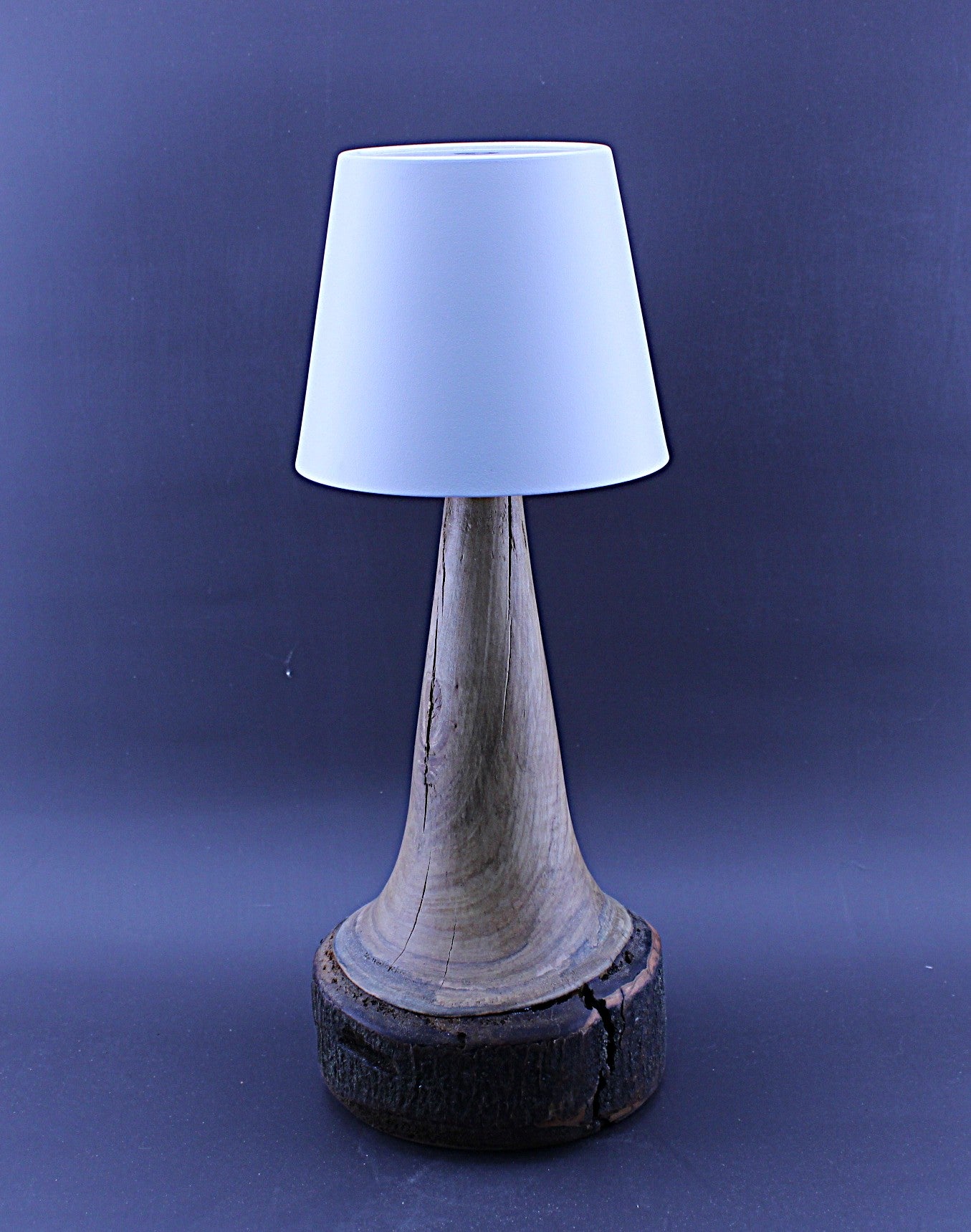 Custom Lamp - Handmade, Cordless, Rechargeable LED