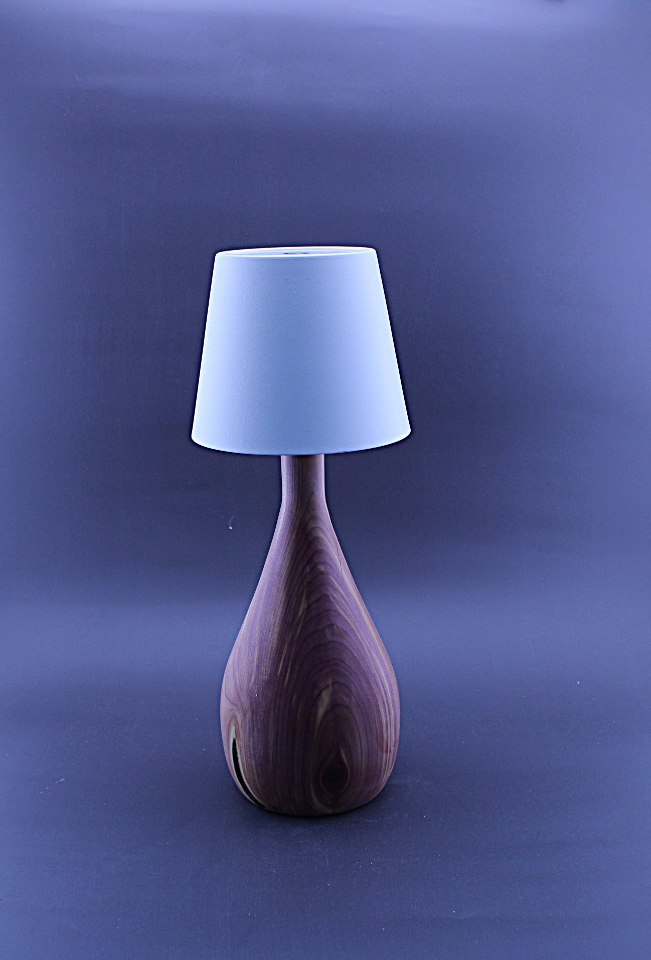 Custom Lamp - Handmade, Cordless, Rechargeable LED