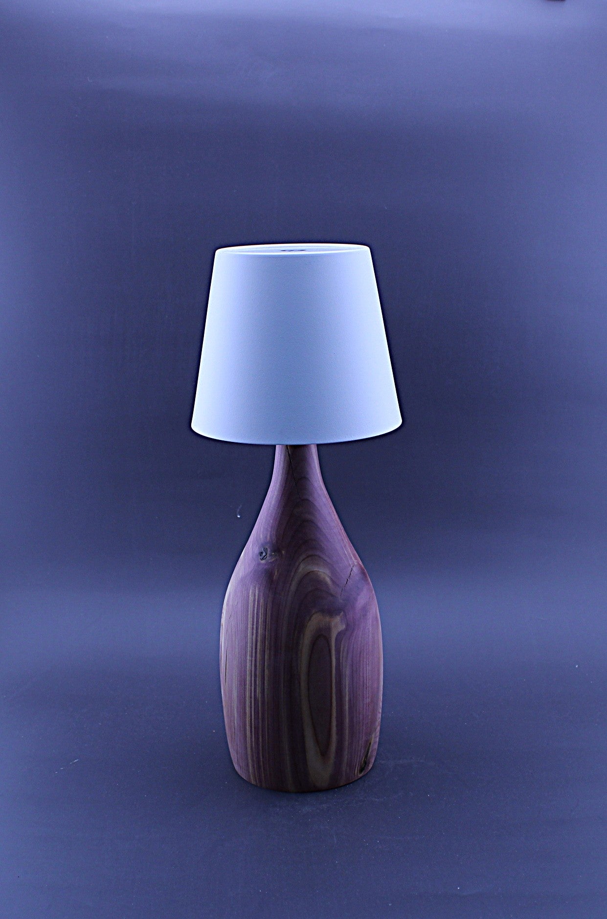 Custom Lamp - Handmade, Cordless, Rechargeable LED