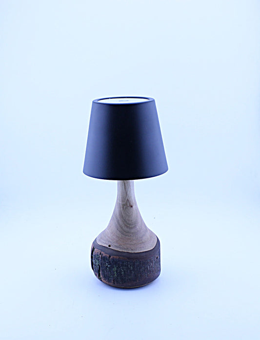 Custom Lamp - Handmade, Cordless, Rechargeable LED