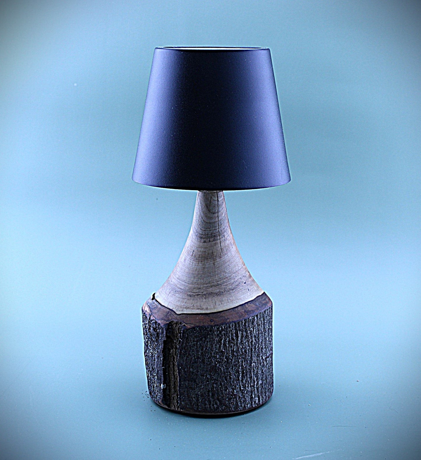 Handcrafted Wood LED Cordless Lamp