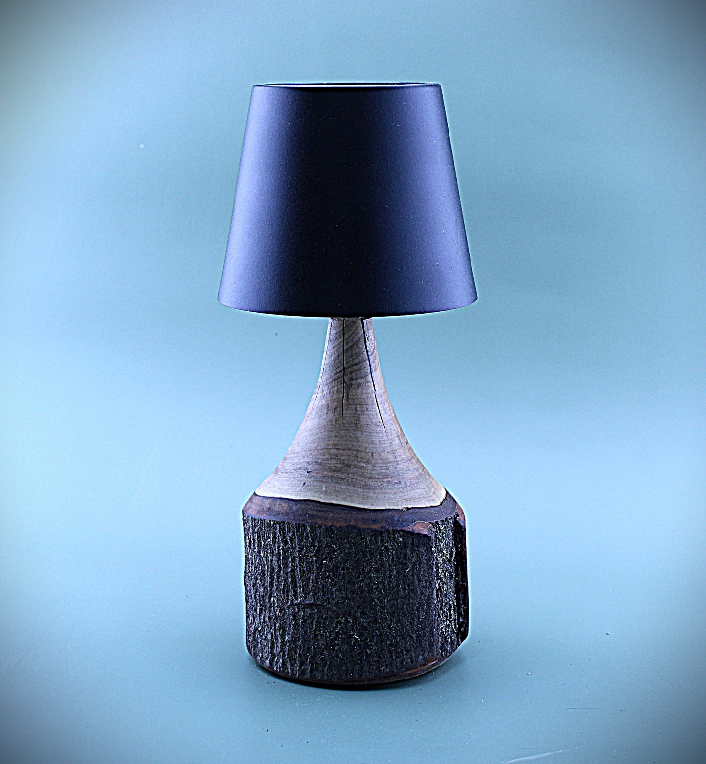 Handcrafted Wood LED Cordless Lamp