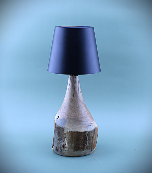 Handcrafted Wood LED Cordless Lamp