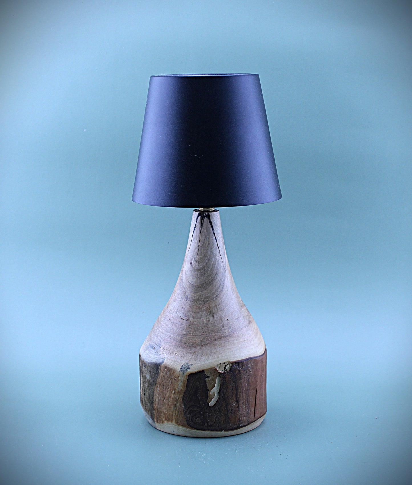Handcrafted Wood LED Cordless Lamp