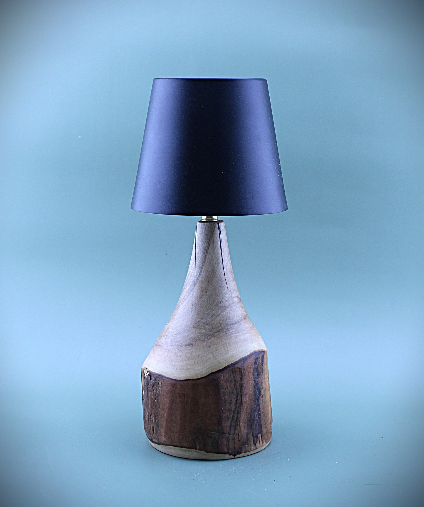 Handcrafted Wood LED Cordless Lamp
