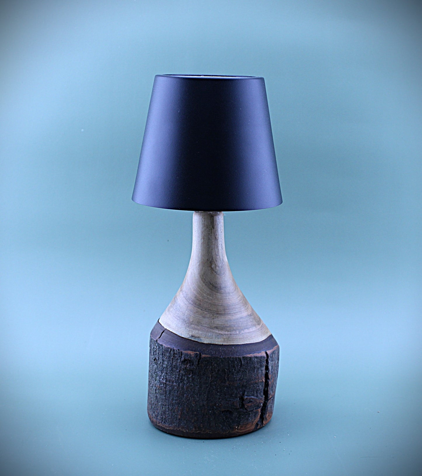 Handcrafted Wood LED Cordless Lamp