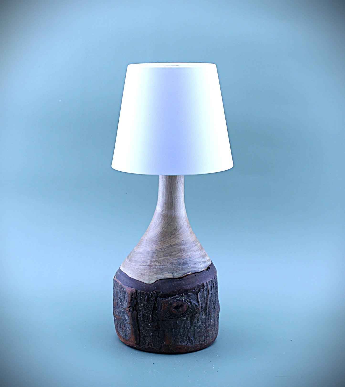 Handcrafted Wood LED Cordless Lamp