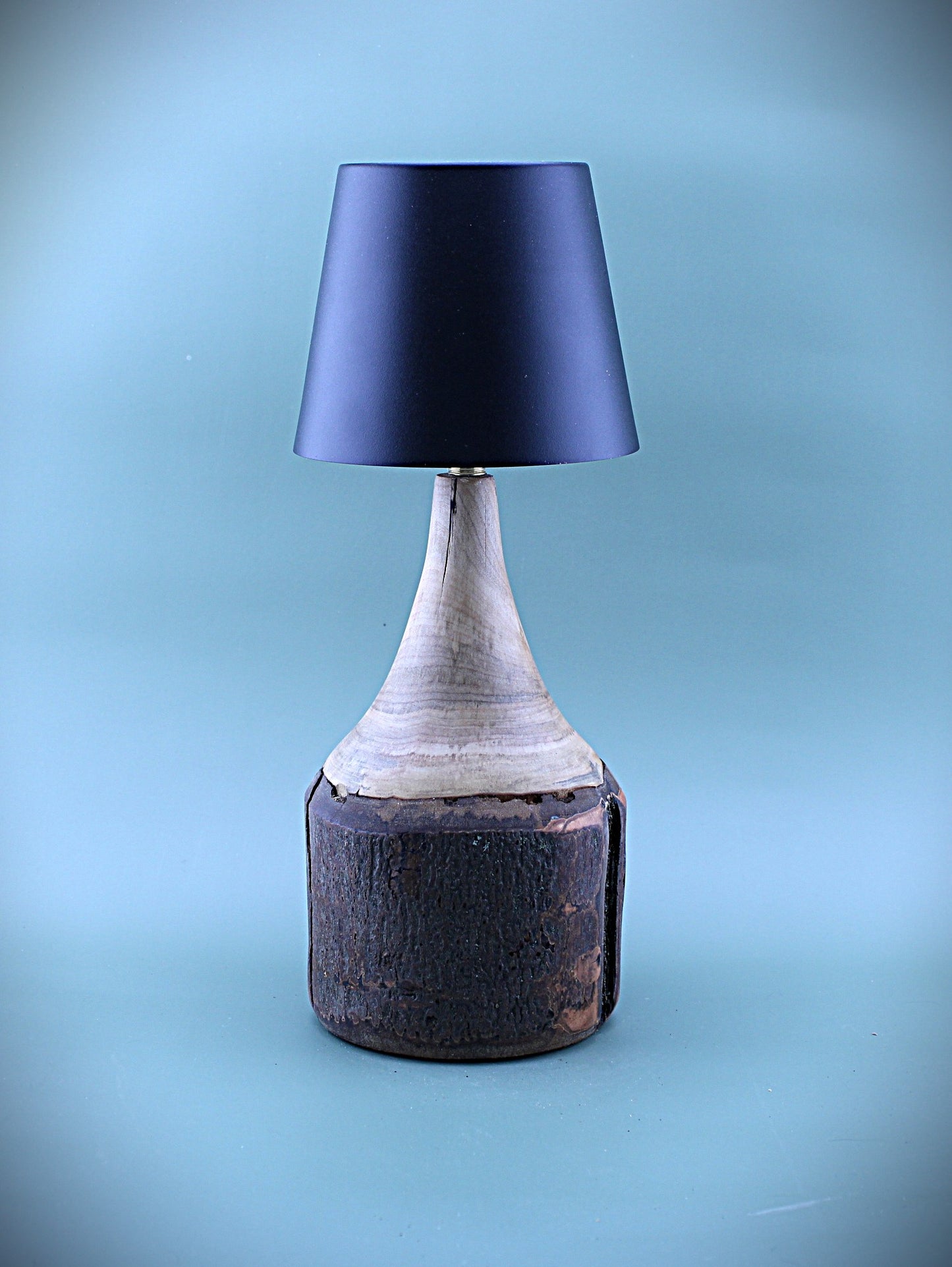 Handcrafted Wood LED Cordless Lamp