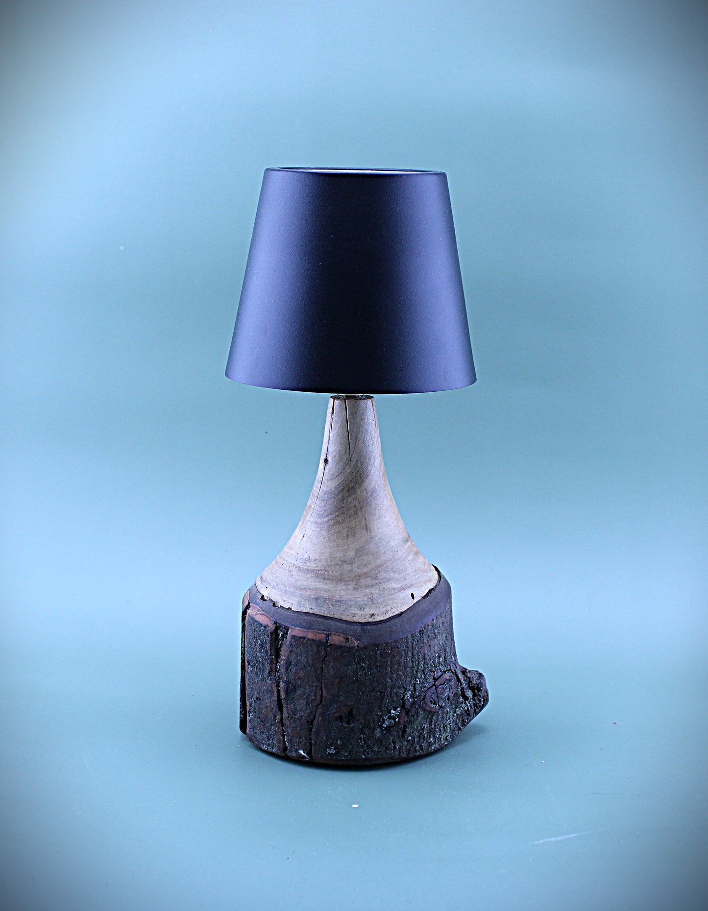 Handcrafted Wood LED Cordless Lamp