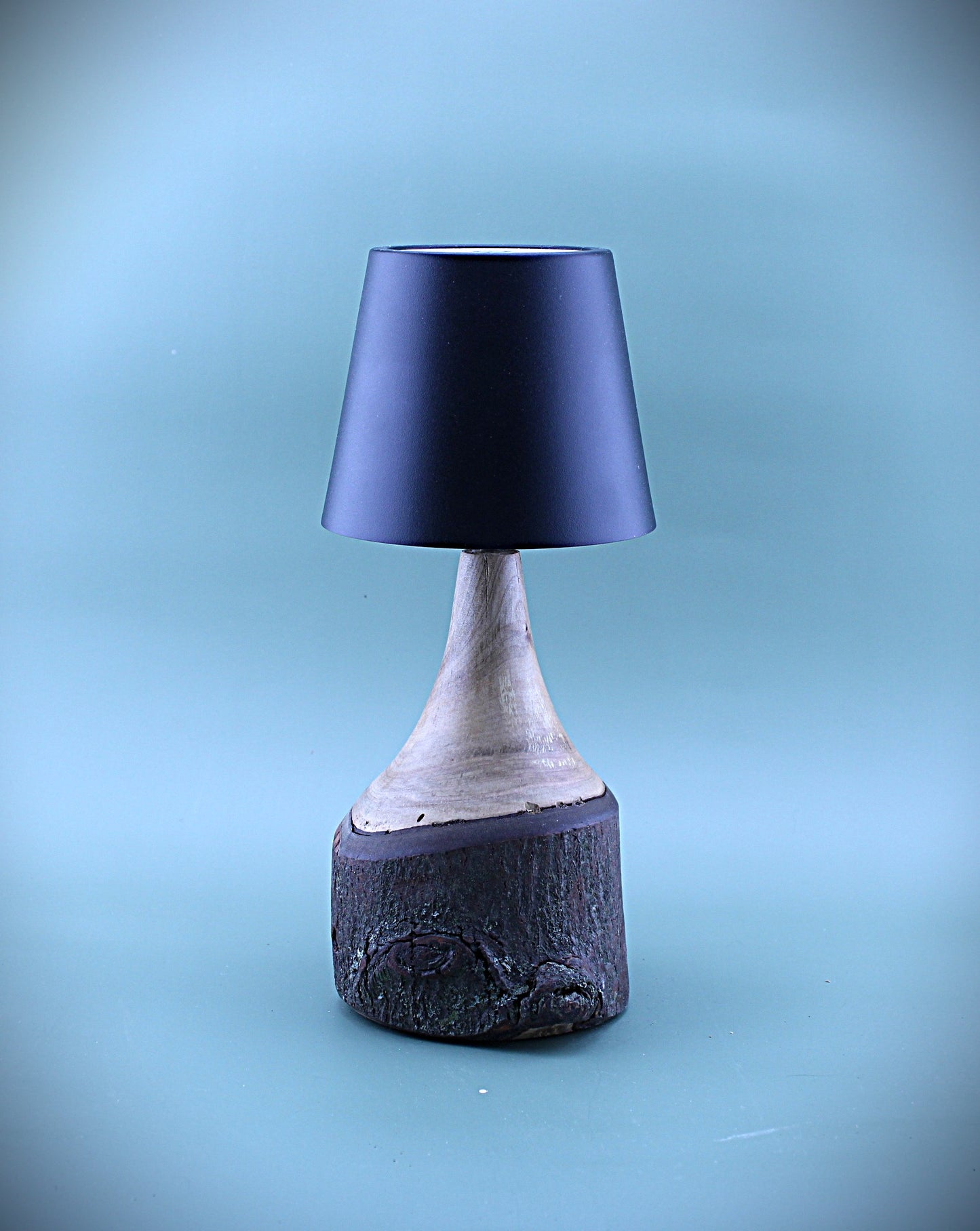 Handcrafted Wood LED Cordless Lamp