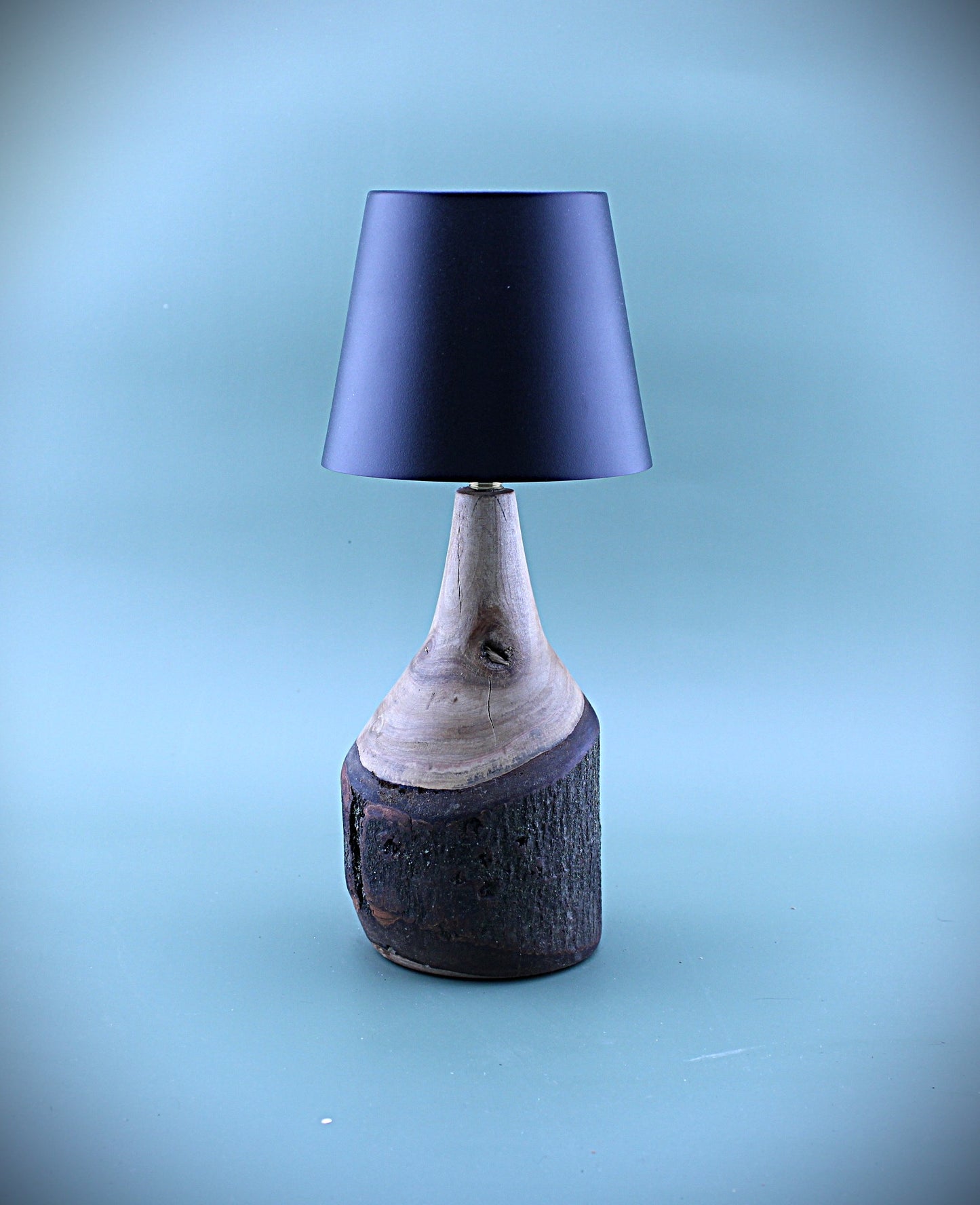 Handcrafted Wood LED Cordless Lamp