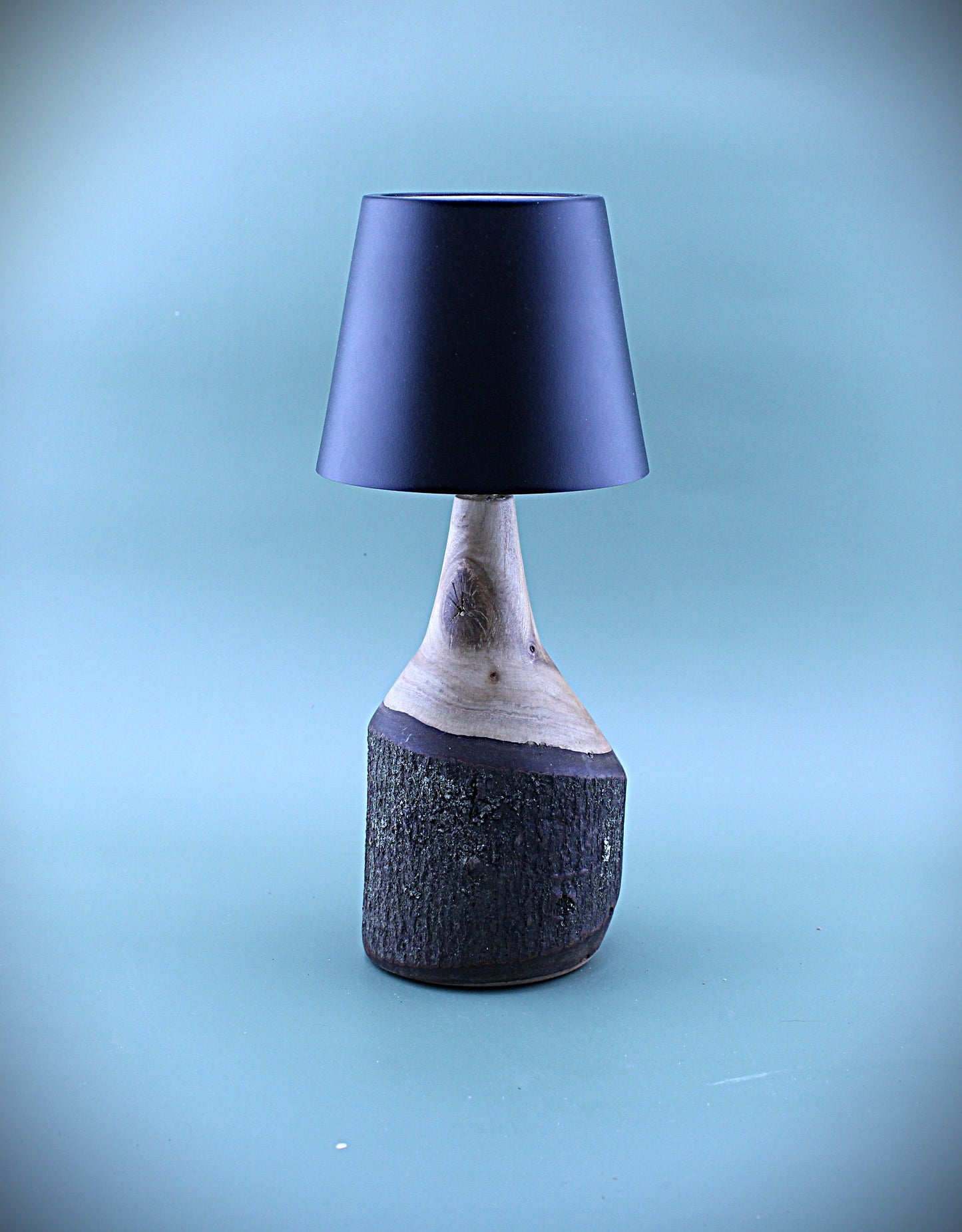 Handcrafted Wood LED Cordless Lamp