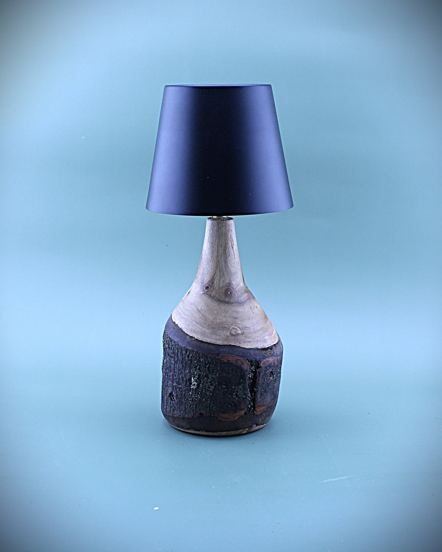 Handcrafted Wood LED Cordless Lamp
