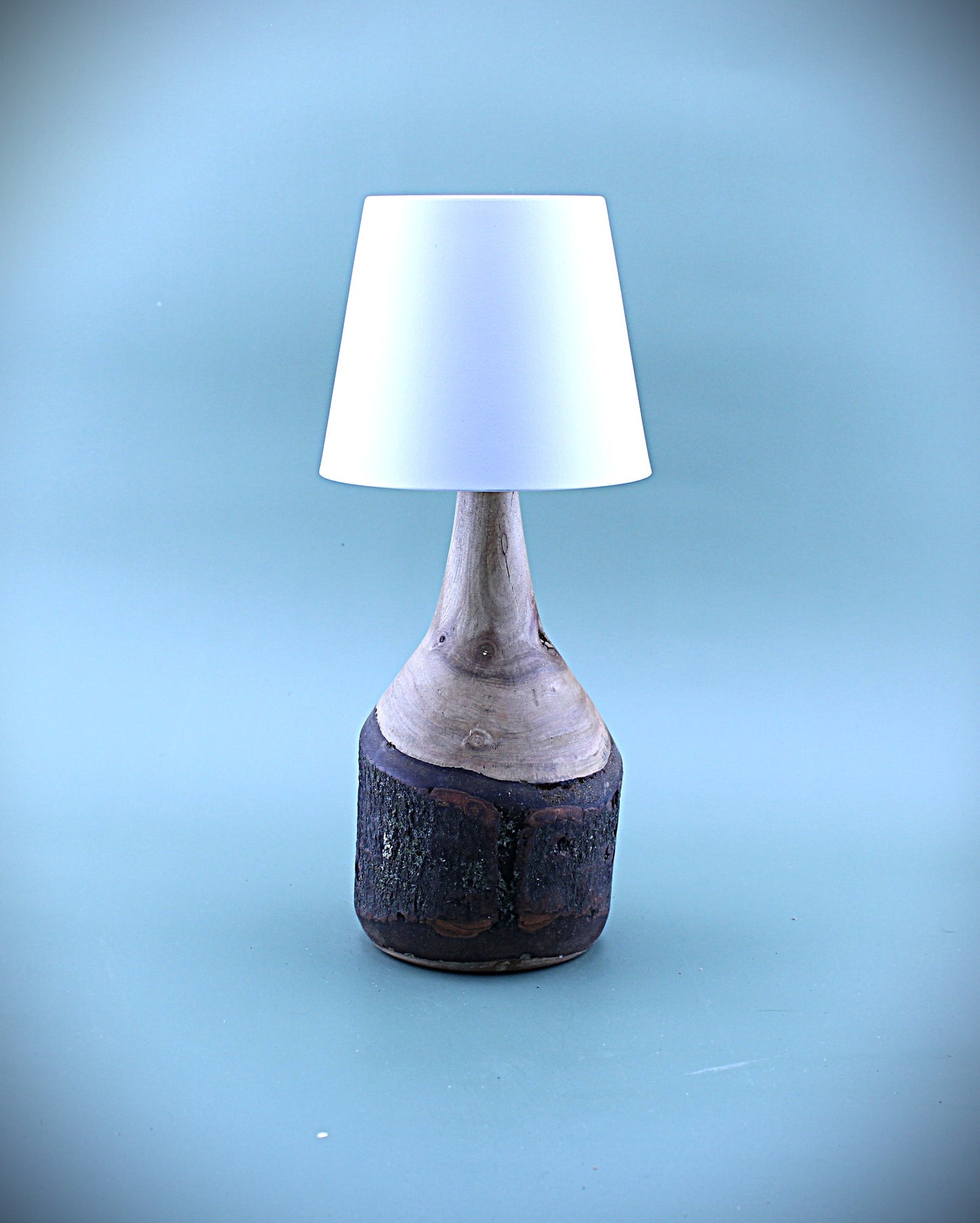 Handcrafted Wood LED Cordless Lamp