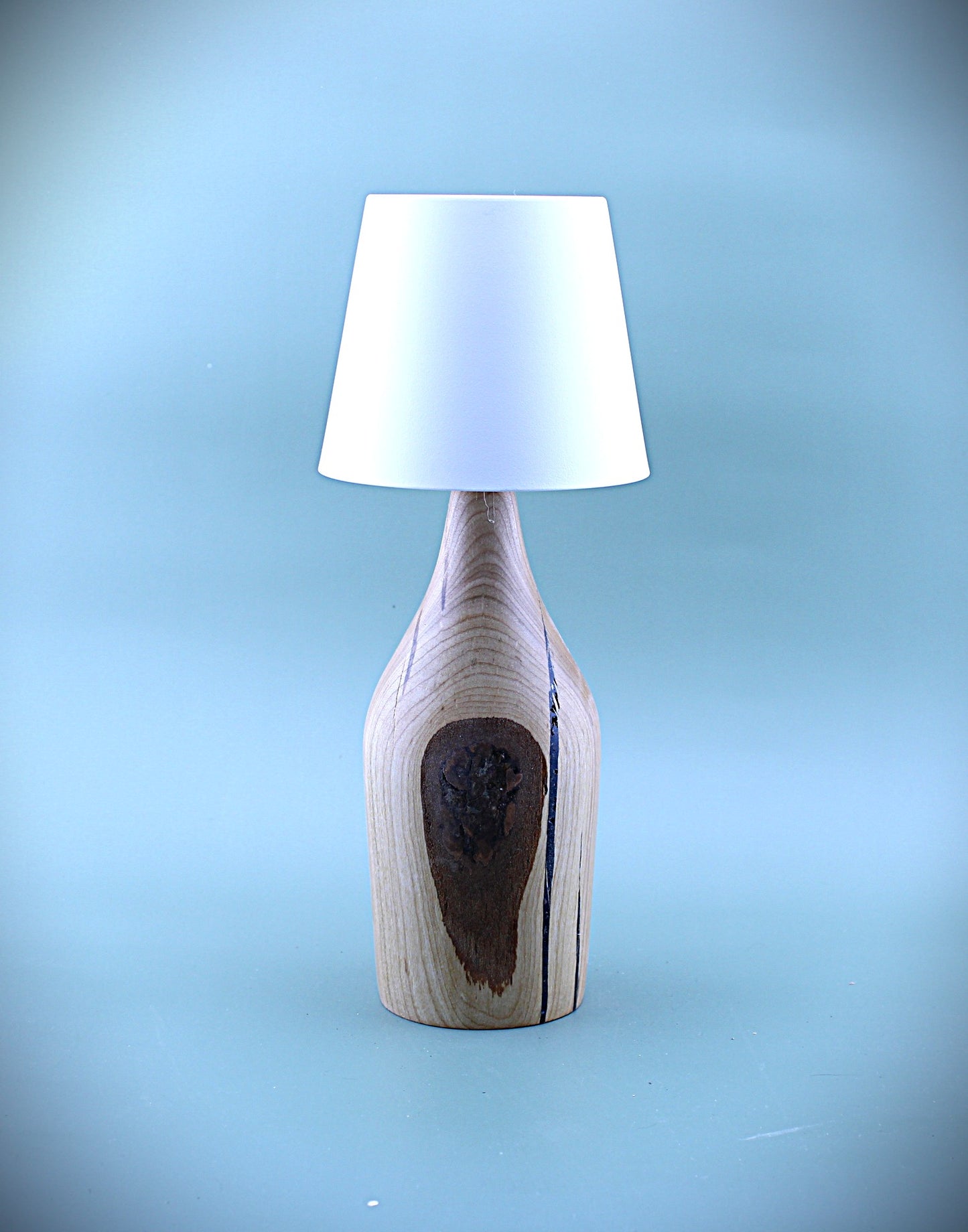 Handcrafted Wood LED Cordless Lamp