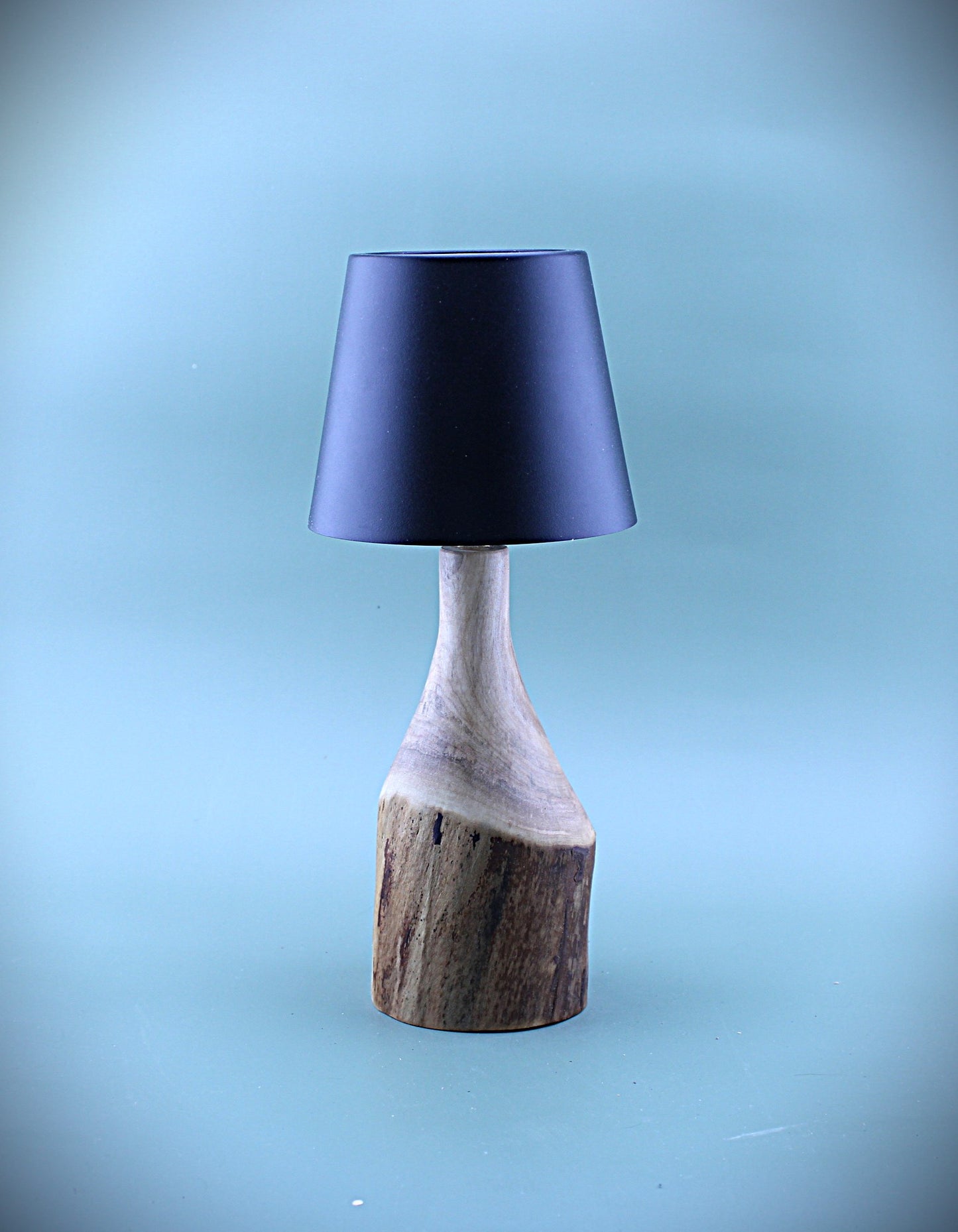 Handcrafted Wood LED Cordless Lamp