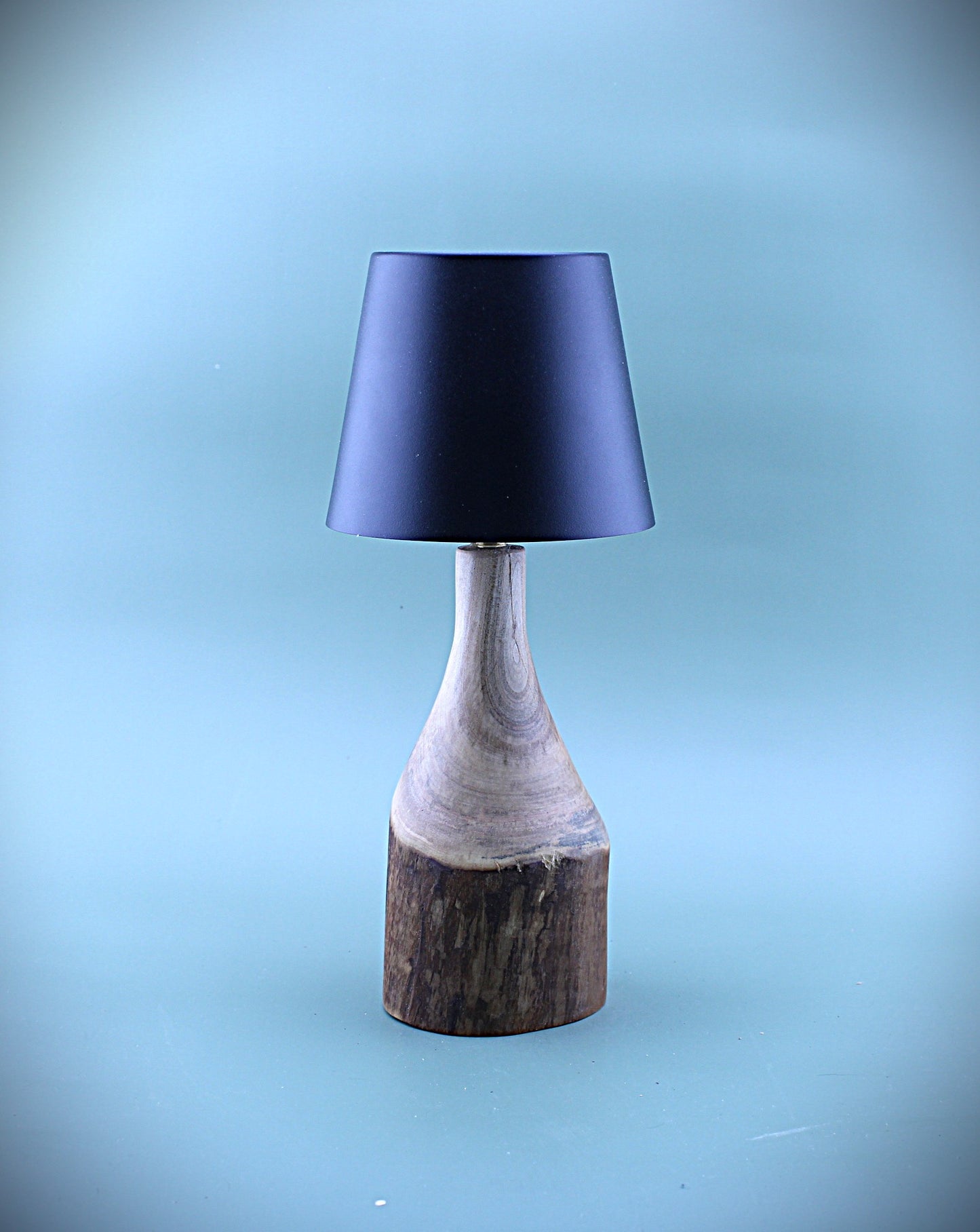 Handcrafted Wood LED Cordless Lamp