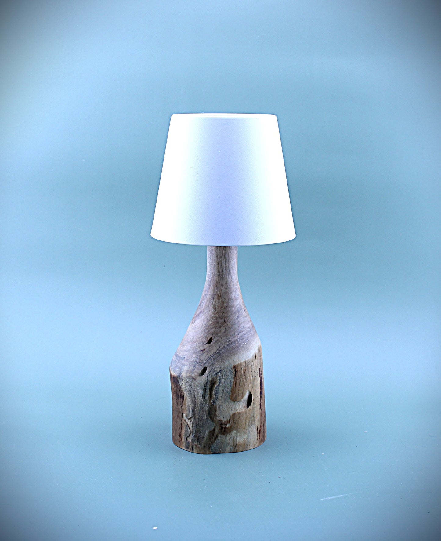 Handcrafted Wood LED Cordless Lamp