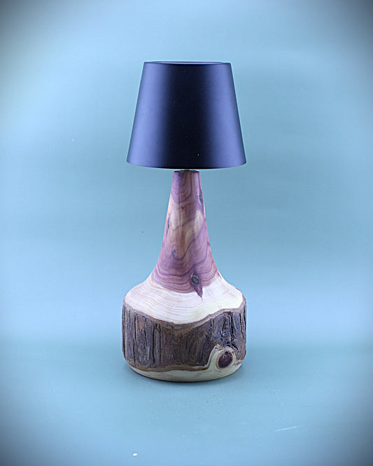 Handcrafted Wood LED Cordless Lamp