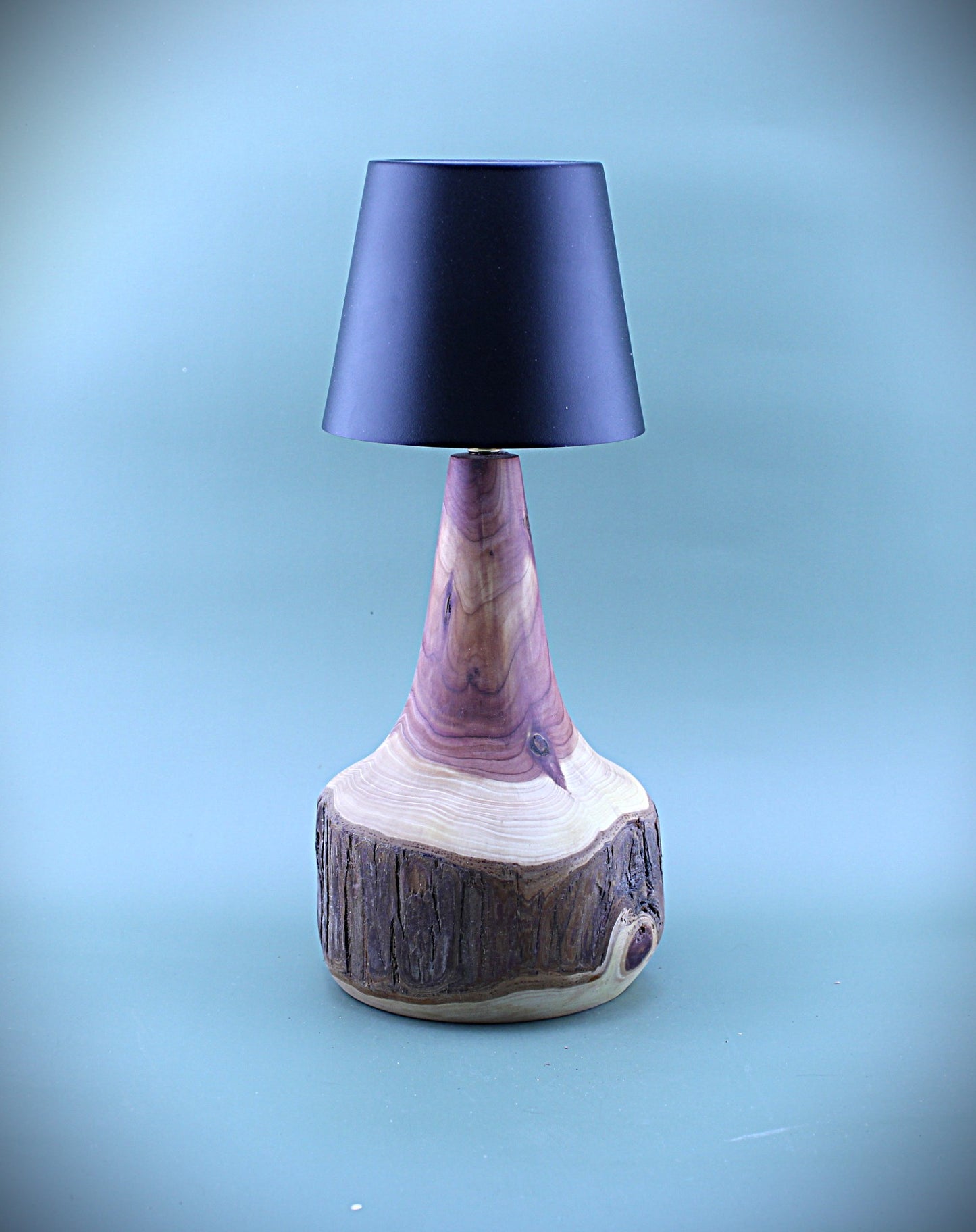 Handcrafted Wood LED Cordless Lamp
